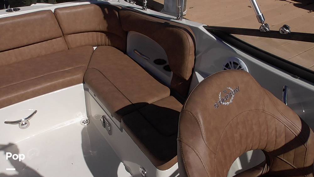 Slide: The Image of Stingray 231DC 2020 - 14802215