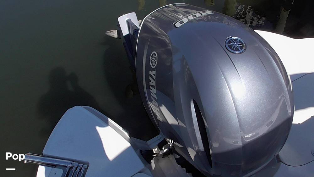 Slide: The Image of Stingray 231DC 2020 - 14802217