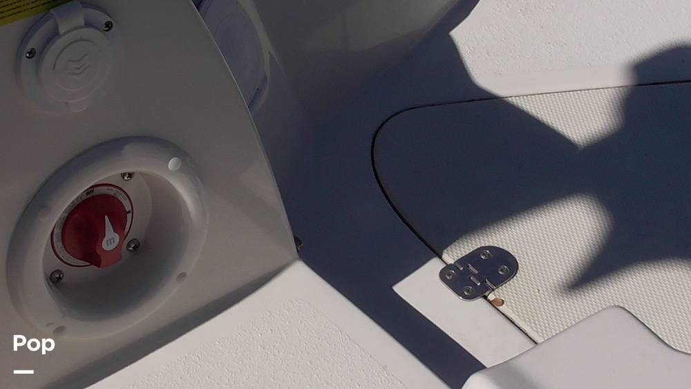 Slide: The Image of Stingray 231DC 2020 - 14802222