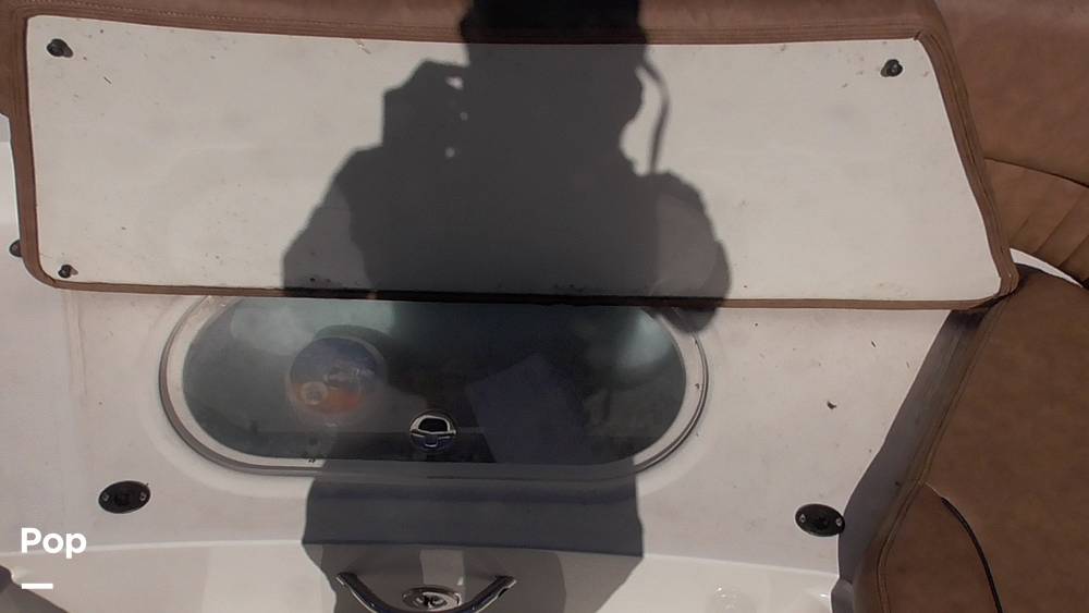 Slide: The Image of Stingray 231DC 2020 - 14802224