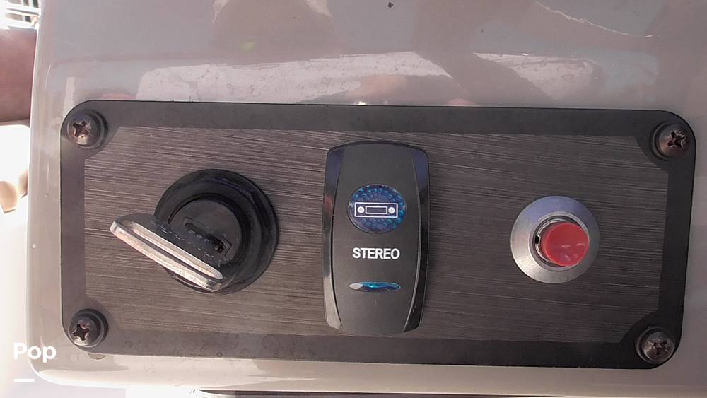 Slide: The Image of Stingray 231DC 2020 - 14802236