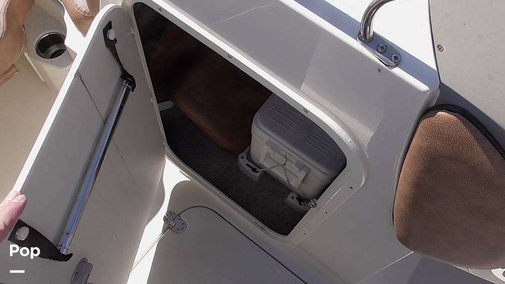 Slide: The Image of Stingray 231DC 2020 - 14802247