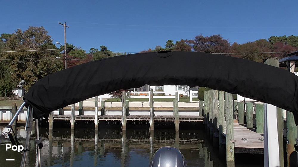 Slide: The Image of Stingray 231DC 2020 - 14802253
