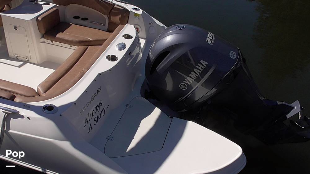 Slide: The Image of Stingray 231DC 2020 - 14802262
