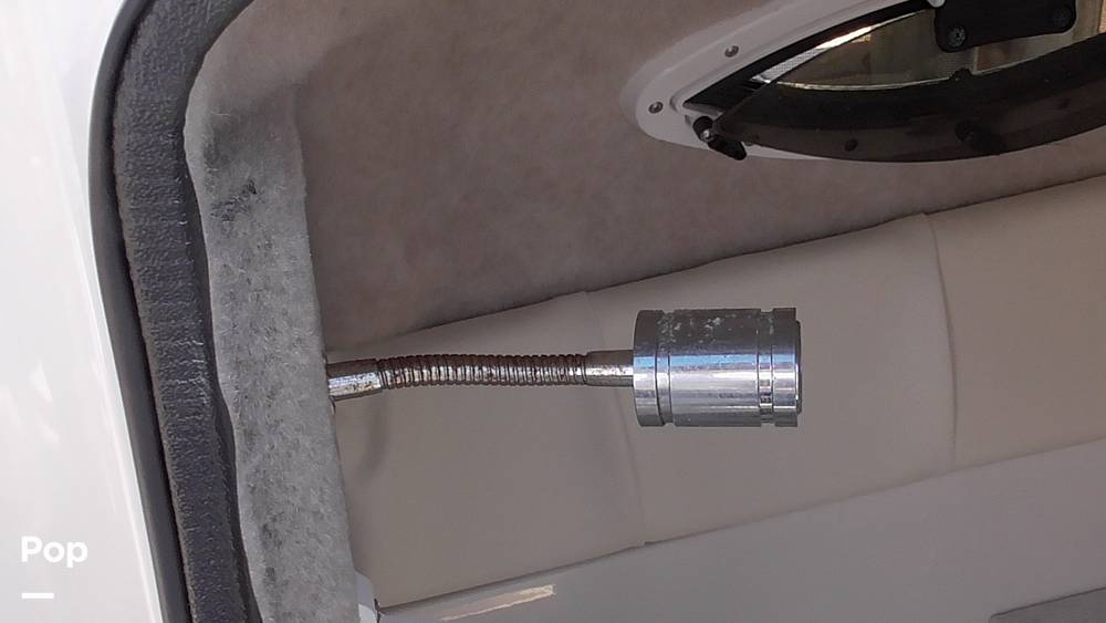 Slide: The Image of Stingray 231DC 2020 - 14802244