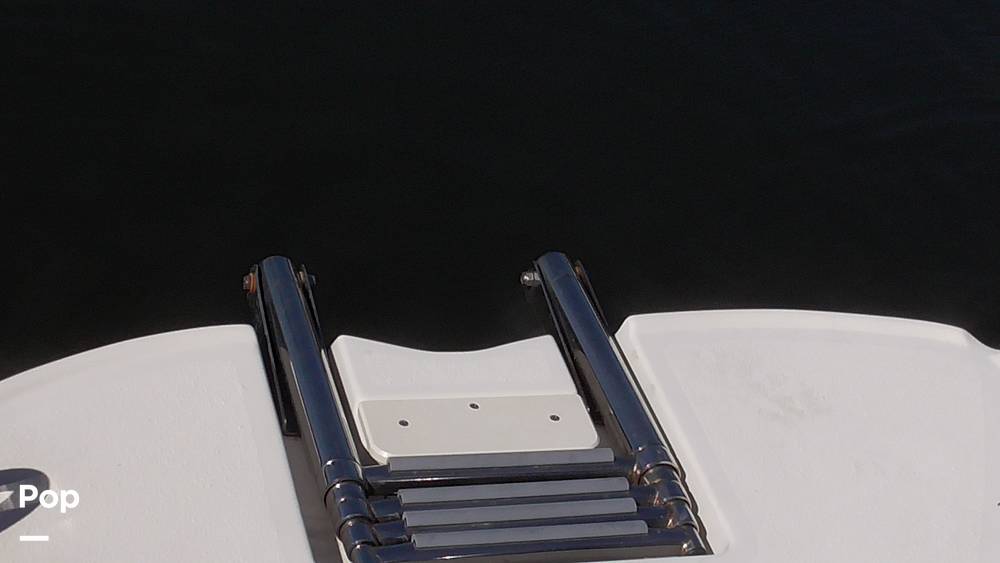 Slide: The Image of Stingray 231DC 2020 - 14802256