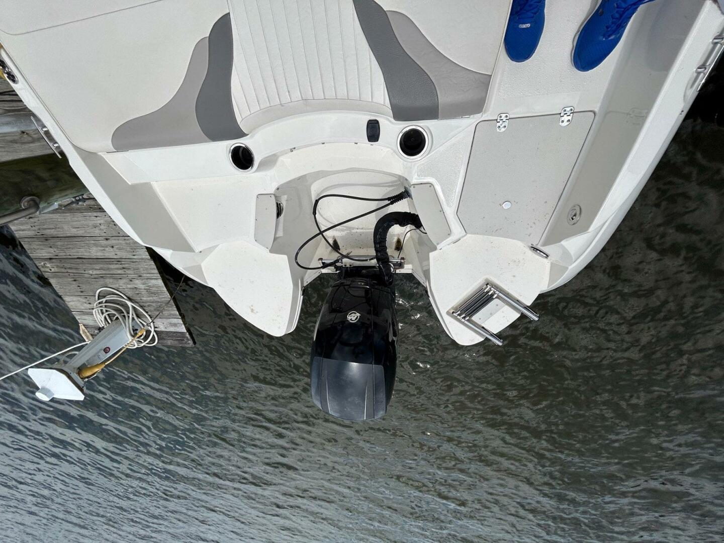 Slide: The Image of Stingray 234 LR 2013 - 5490286