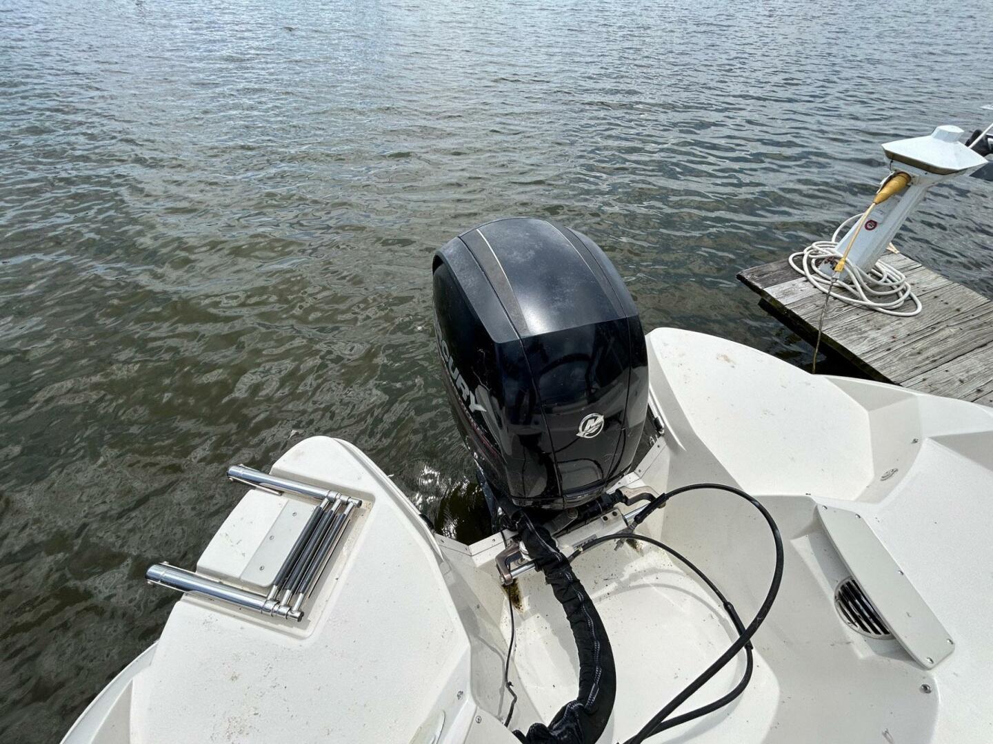 Slide: The Image of Stingray 234 LR 2013 - 5490288