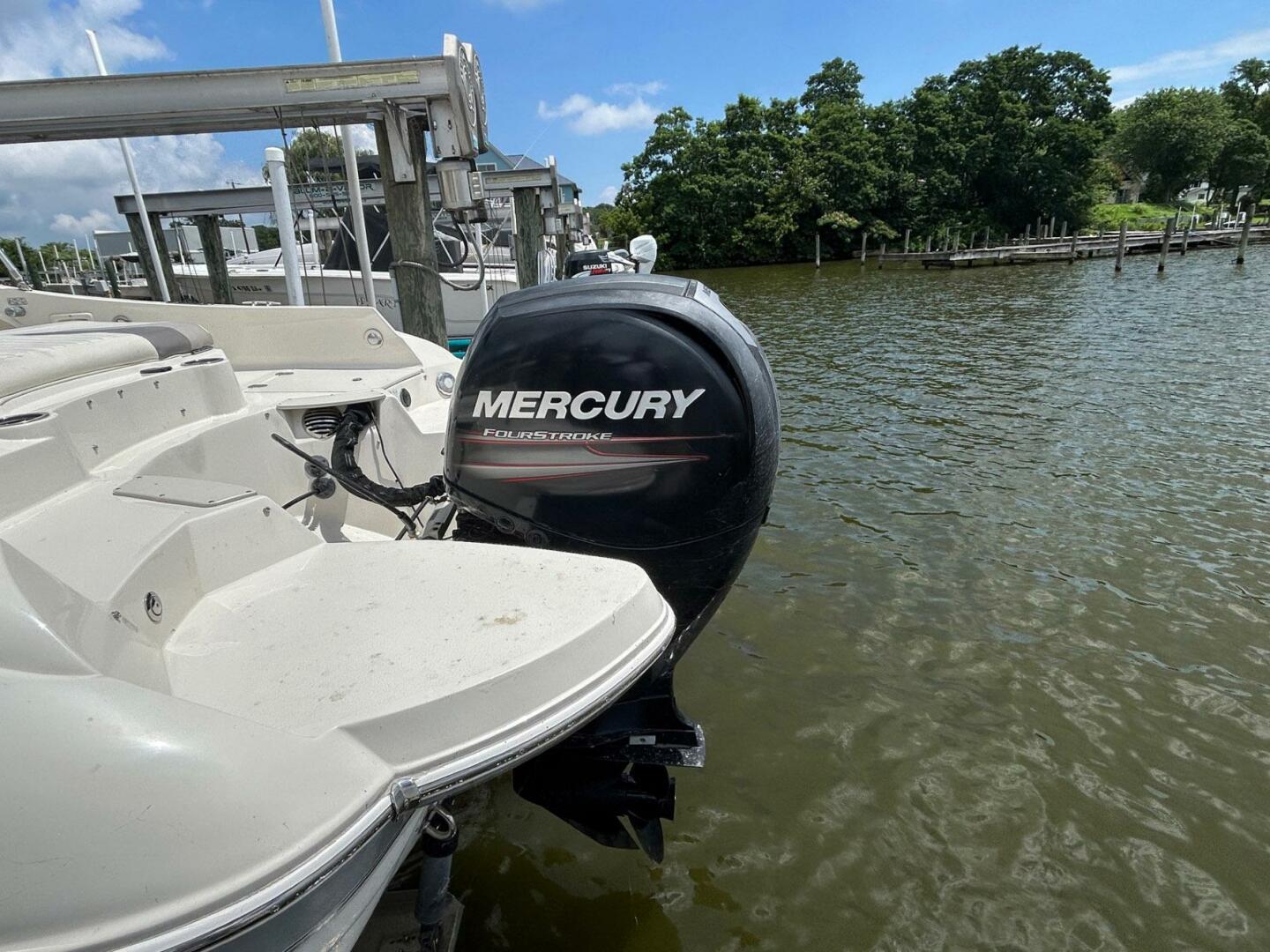 Slide: The Image of Stingray 234 LR 2013 - 5490267