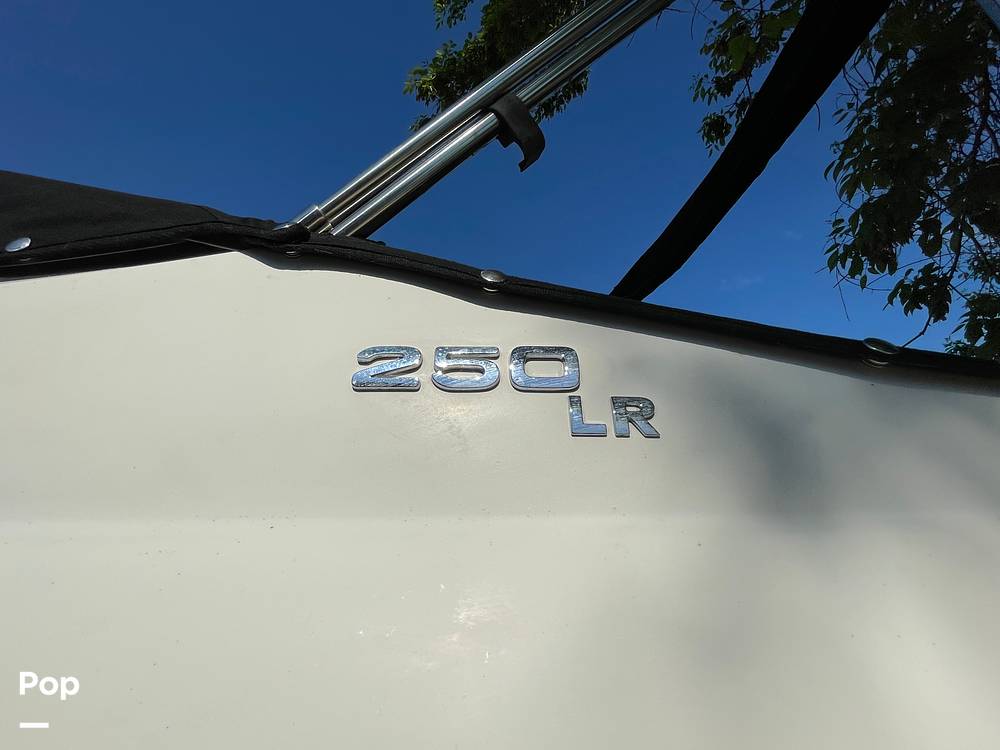 Slide: The Image of Stingray 250 LR 2016 - 15515245