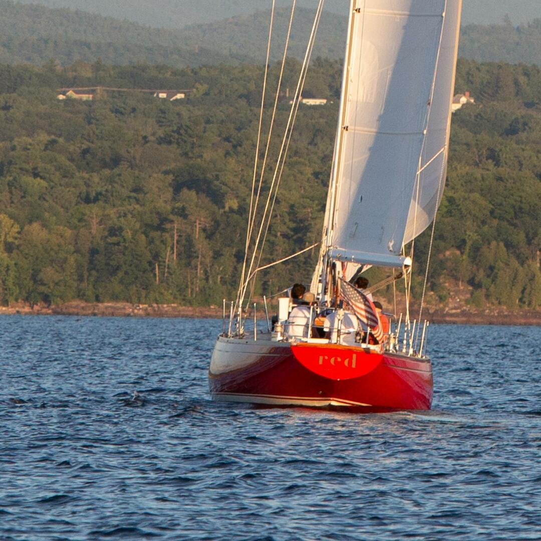 Slide: The Image of Swan 43 1969 - 4658662