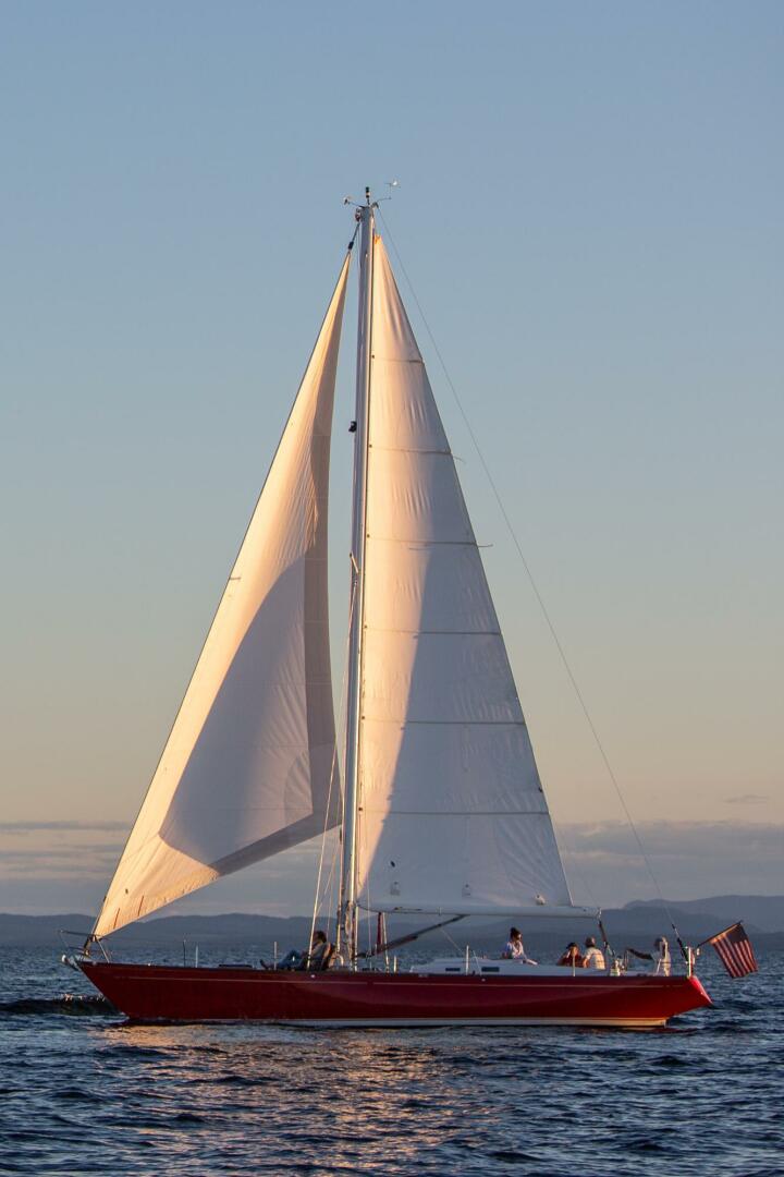 Slide: The Image of Swan 43 1969 - 4658678