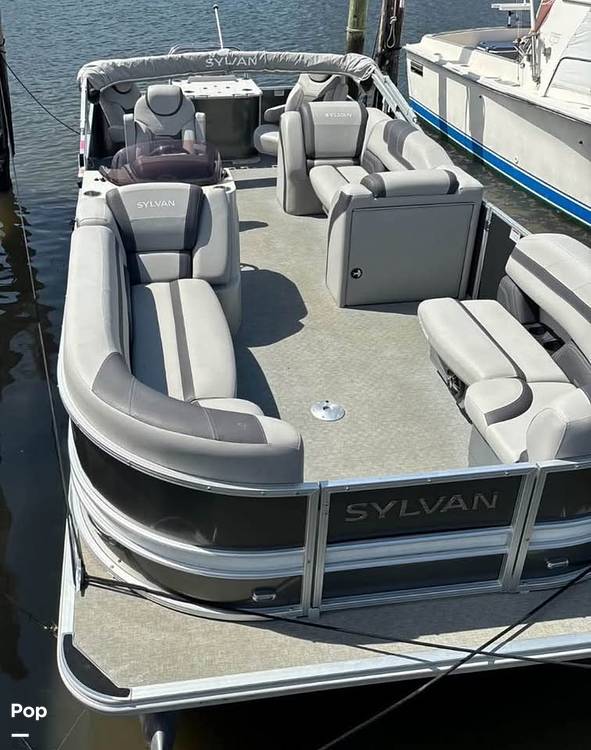 Slide: The Image of Sylvan L3 Party Fish 2022 - 15284185