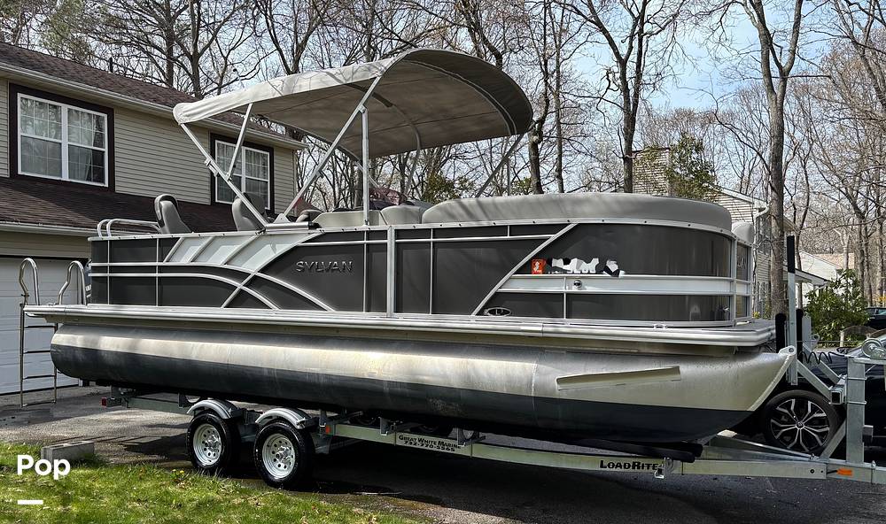 Slide: The Image of Sylvan L3 Party Fish 2022 - 15369291