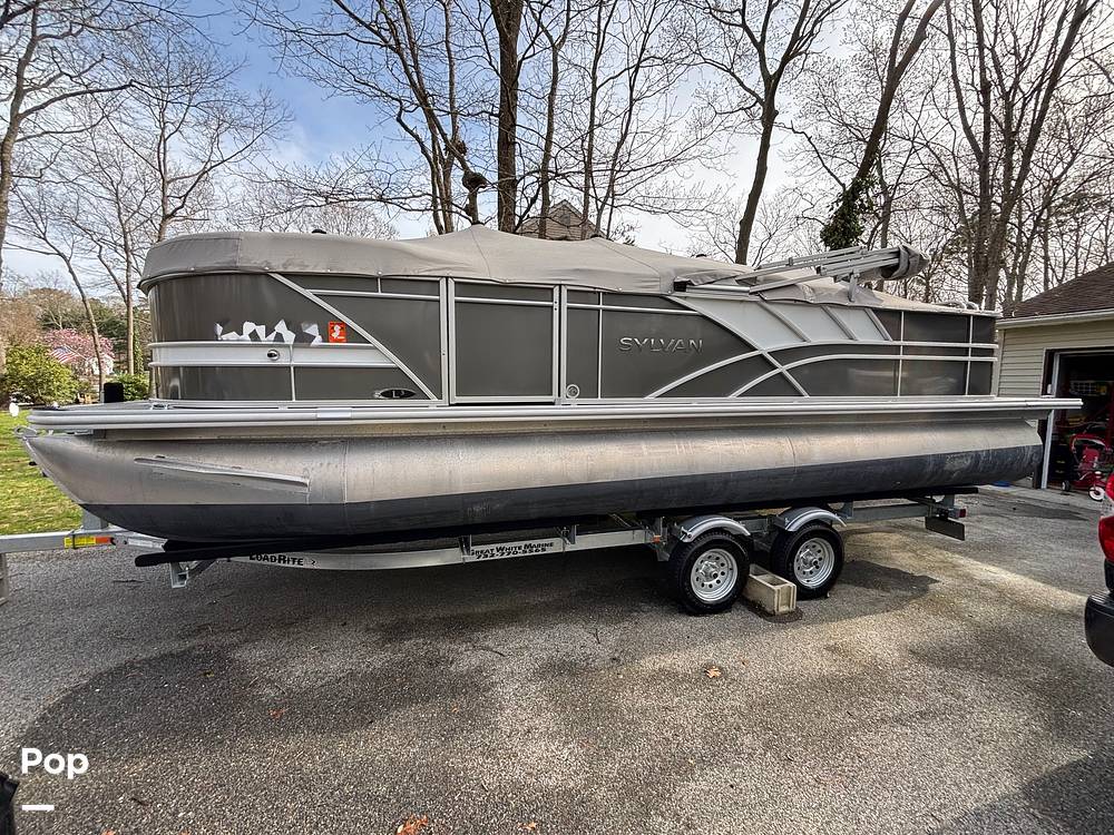 Slide: The Image of Sylvan L3 Party Fish 2022 - 15369284