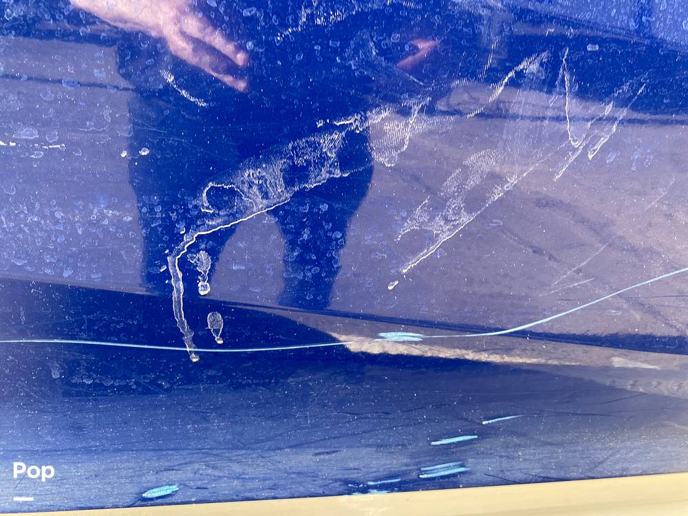 Slide: The Image of Tahoe Fish Series 185 S 2022 - 13861361