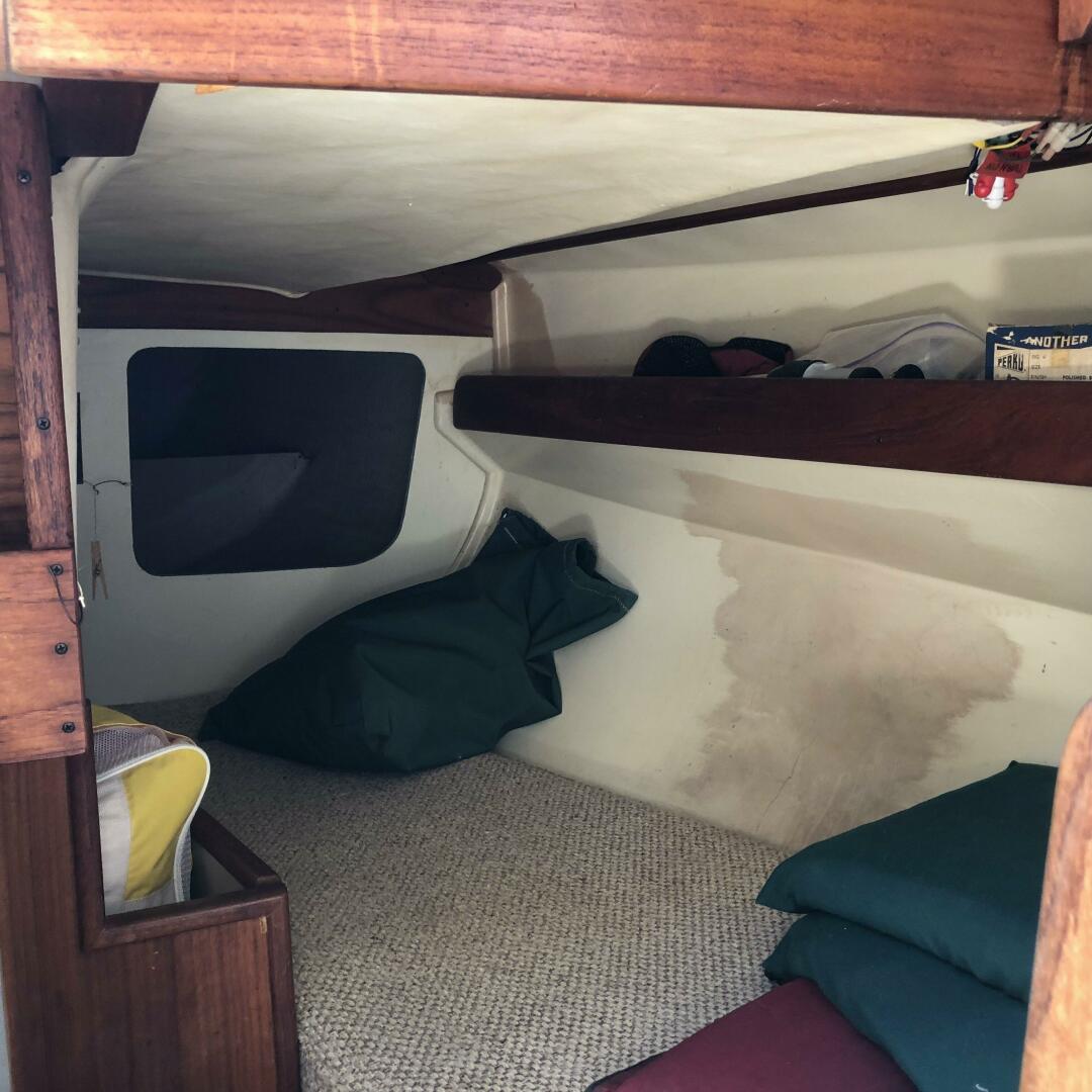 Slide: The Image of Tartan 34 1978 - 5167690