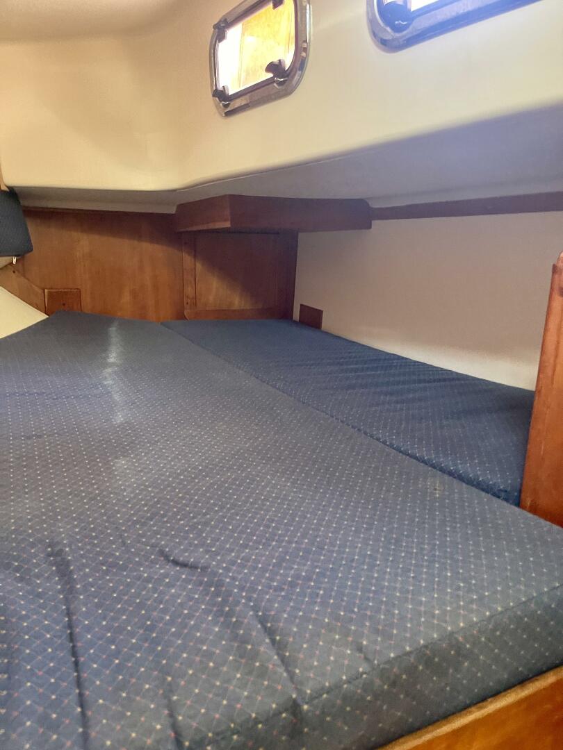 Slide: The Image of Tartan 3800 1999 - 4551566