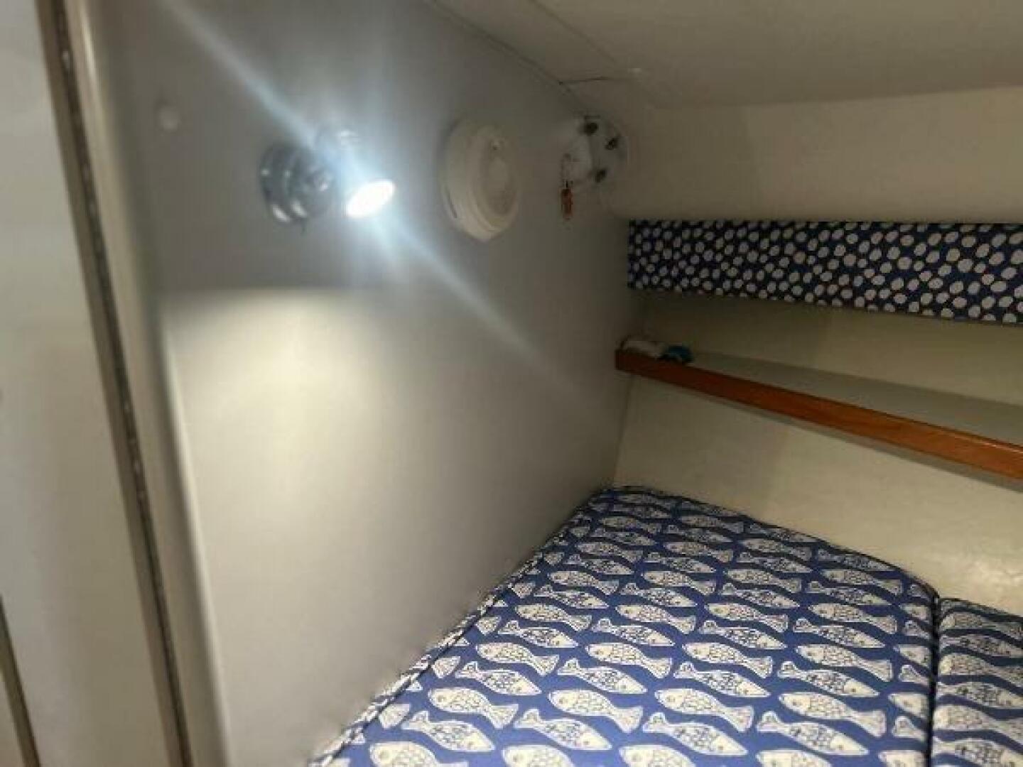 Slide: The Image of Tiara 29 2000 - 5150085