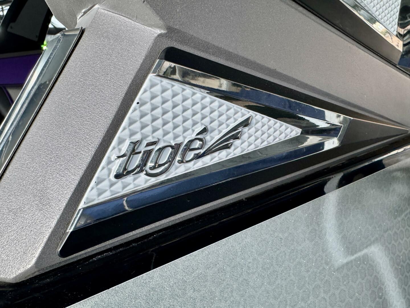 Slide: The Image of Tige RZX3 Wake & Surf Boat 2017 - 5323420