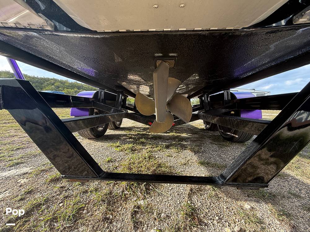 Slide: The Image of Tige Z3 2022 - 14998373