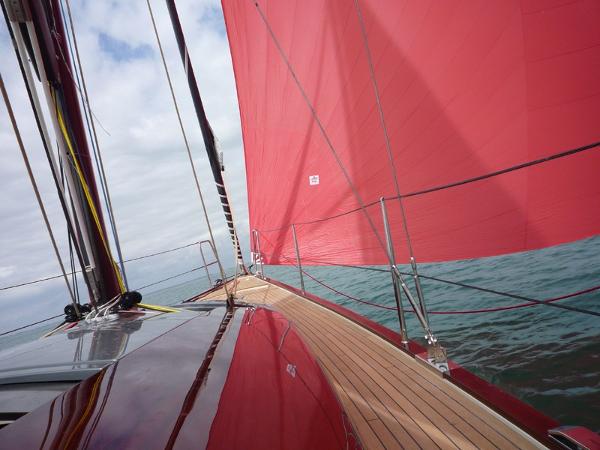 Slide: The Image of Tofinou 12 2024 - 3