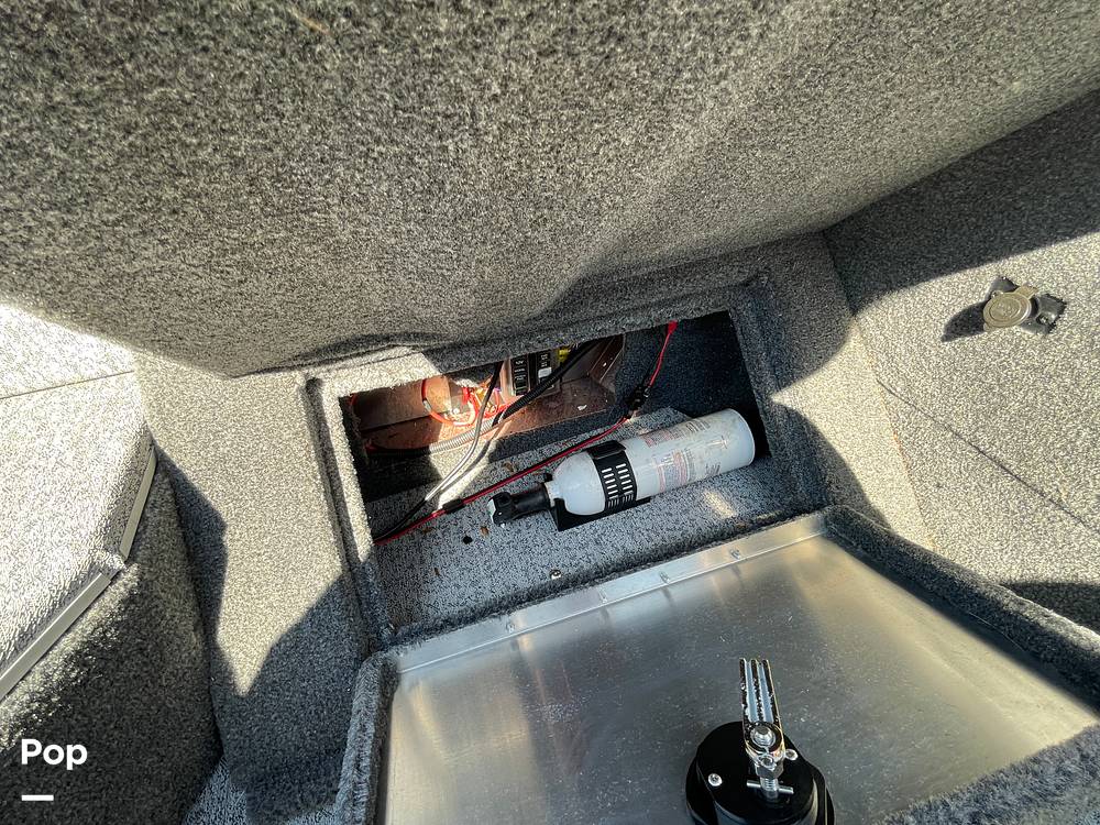 Slide: The Image of Tracker Targa V-18 WT 2021 - 15822315