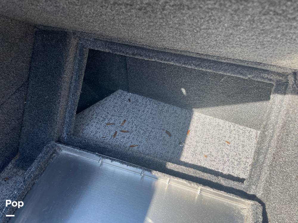 Slide: The Image of Tracker Targa V-18 WT 2021 - 15822333