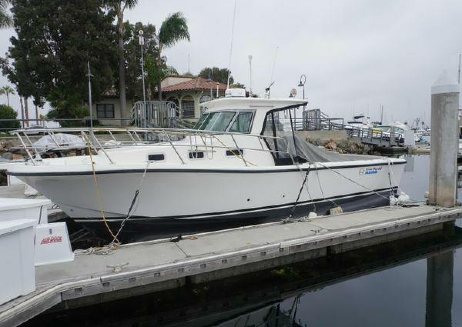 Slide: The Image of True World Marine TE288 2005 - 5297408