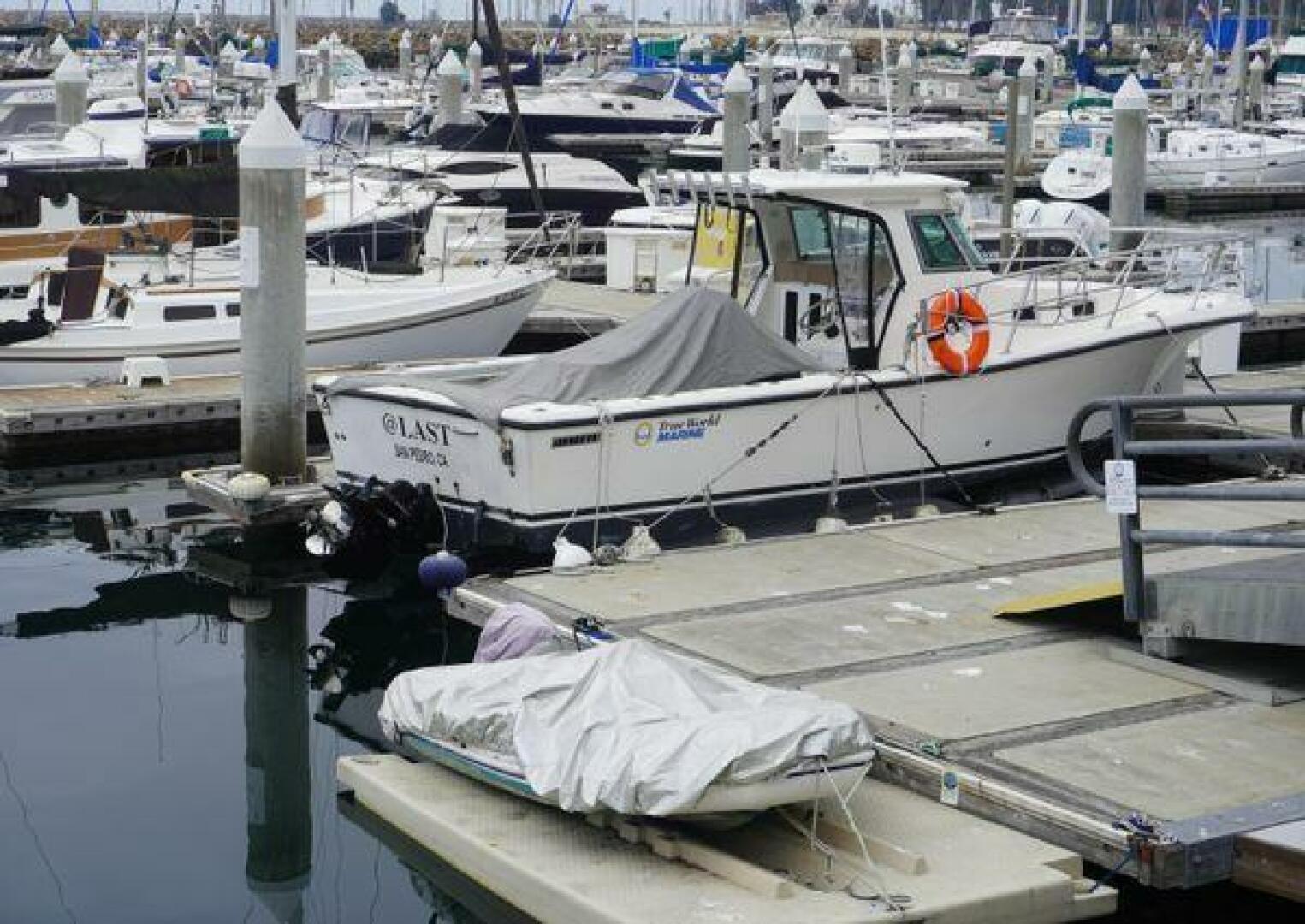 Slide: The Image of True World Marine TE288 2005 - 5297409