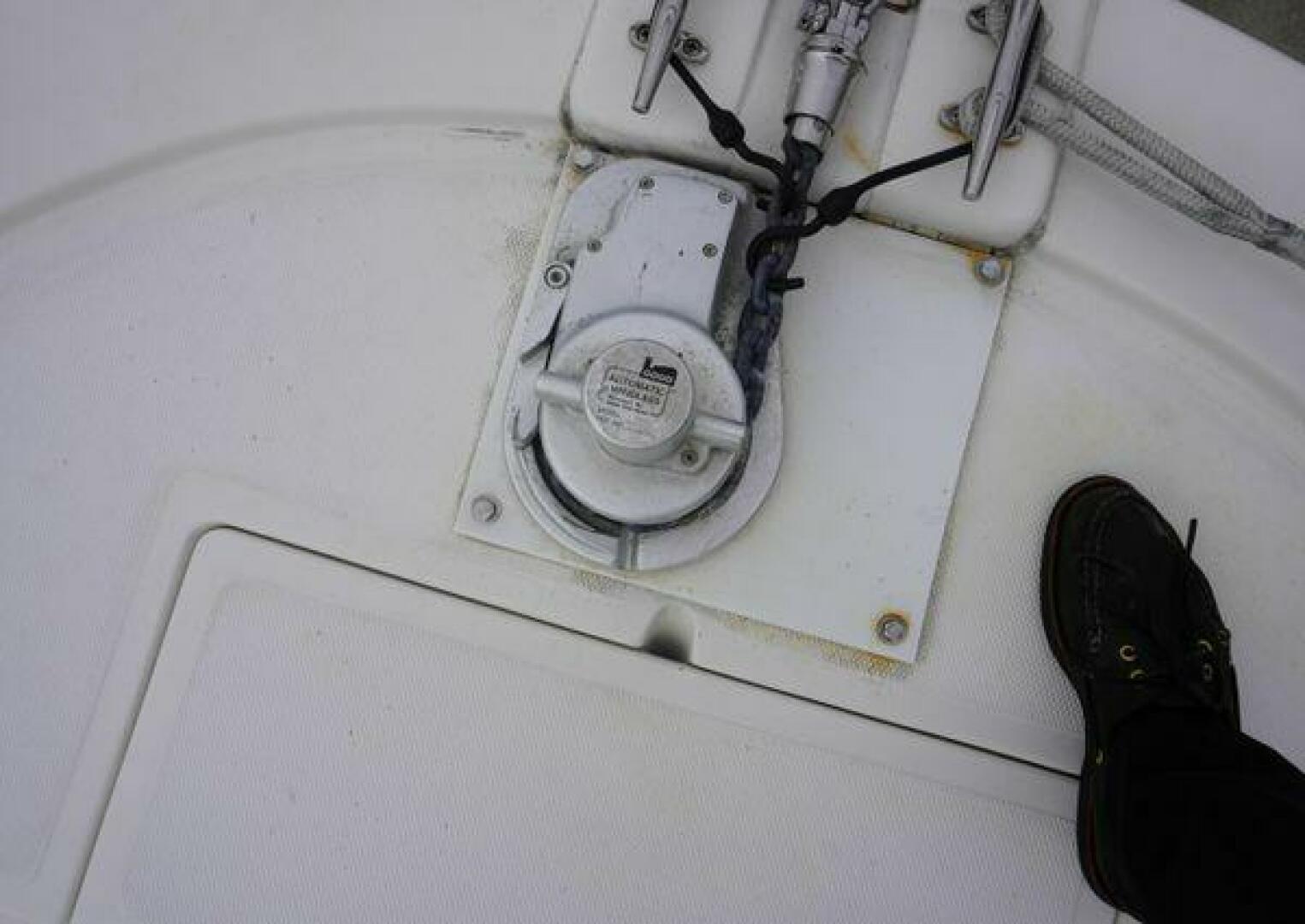 Slide: The Image of True World Marine TE288 2005 - 5297414