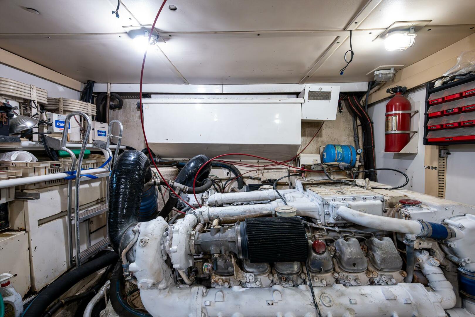 Slide: The Image of Viking 65 1991 - 5313844