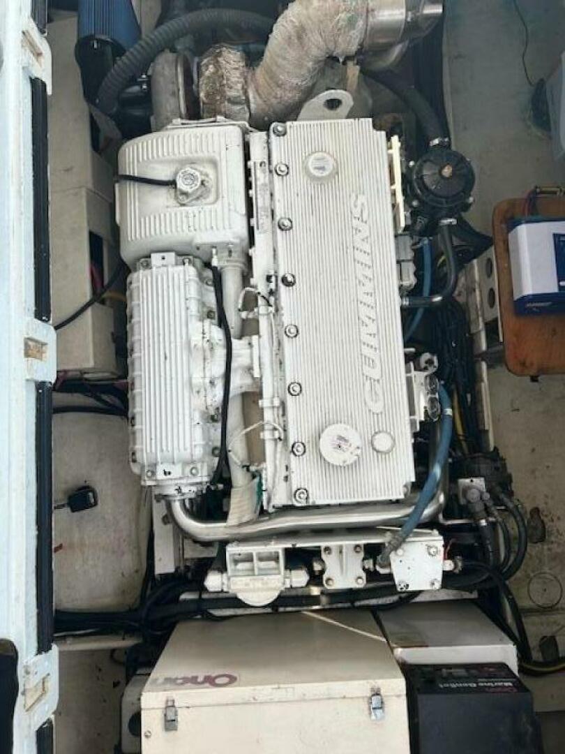 Slide: The Image of Wayne Beal 40 2002 - 5481805