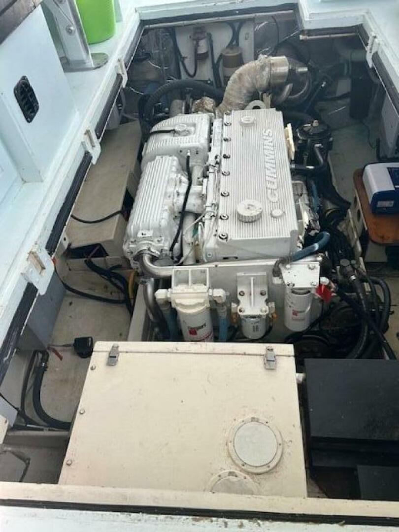 Slide: The Image of Wayne Beal 40 2002 - 5481807