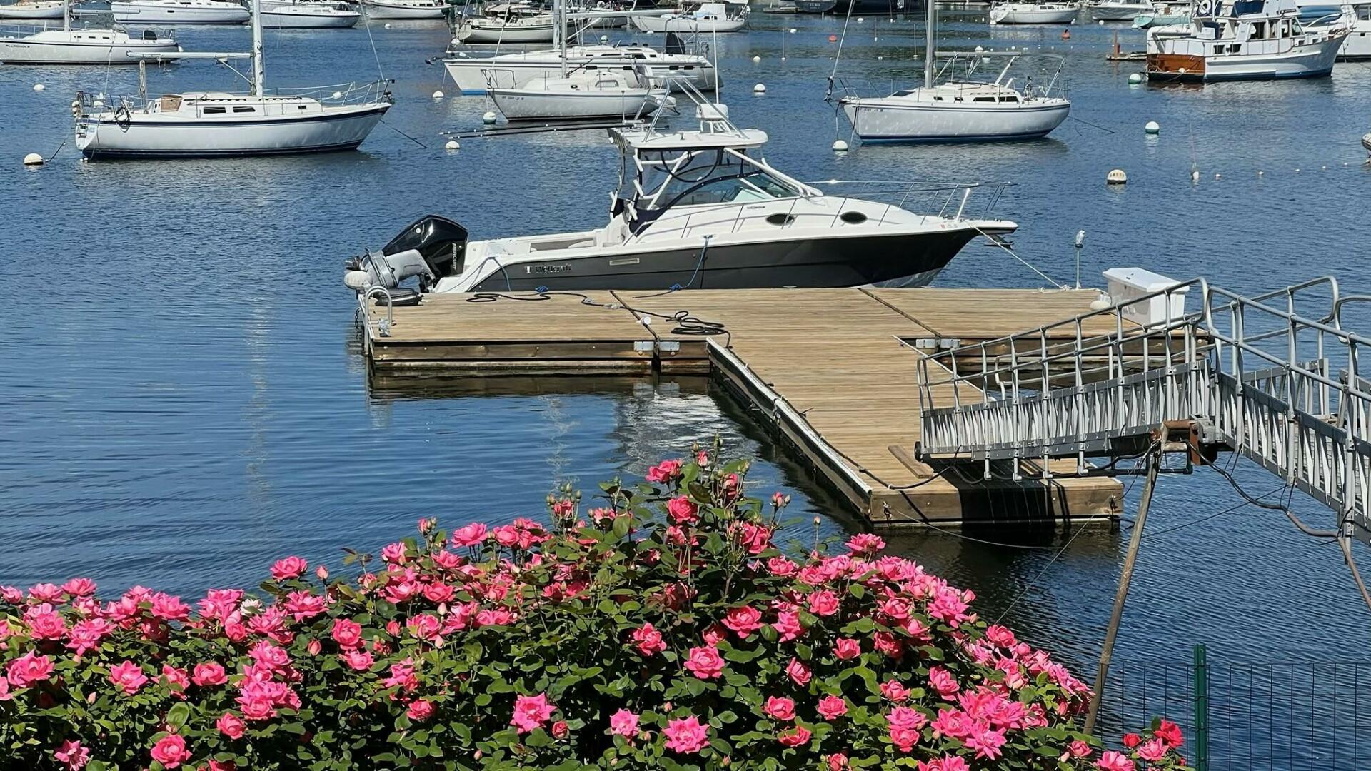 Slide: The Image of Wellcraft 290 Coastal 2018 - 4941087