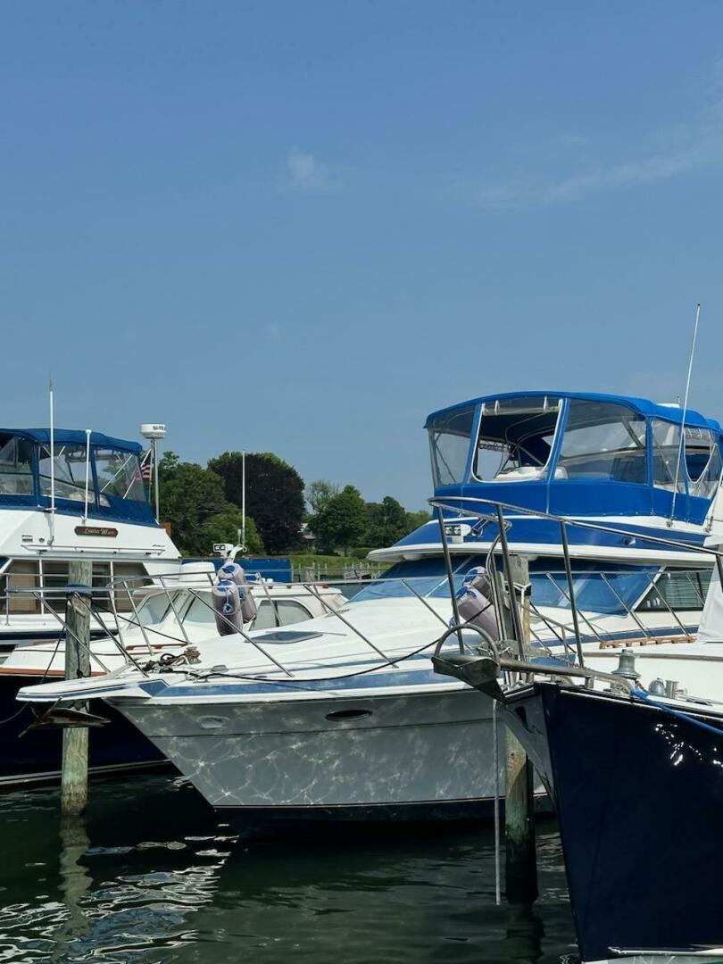 Slide: The Image of Wellcraft San Remo 1988 - 4478145