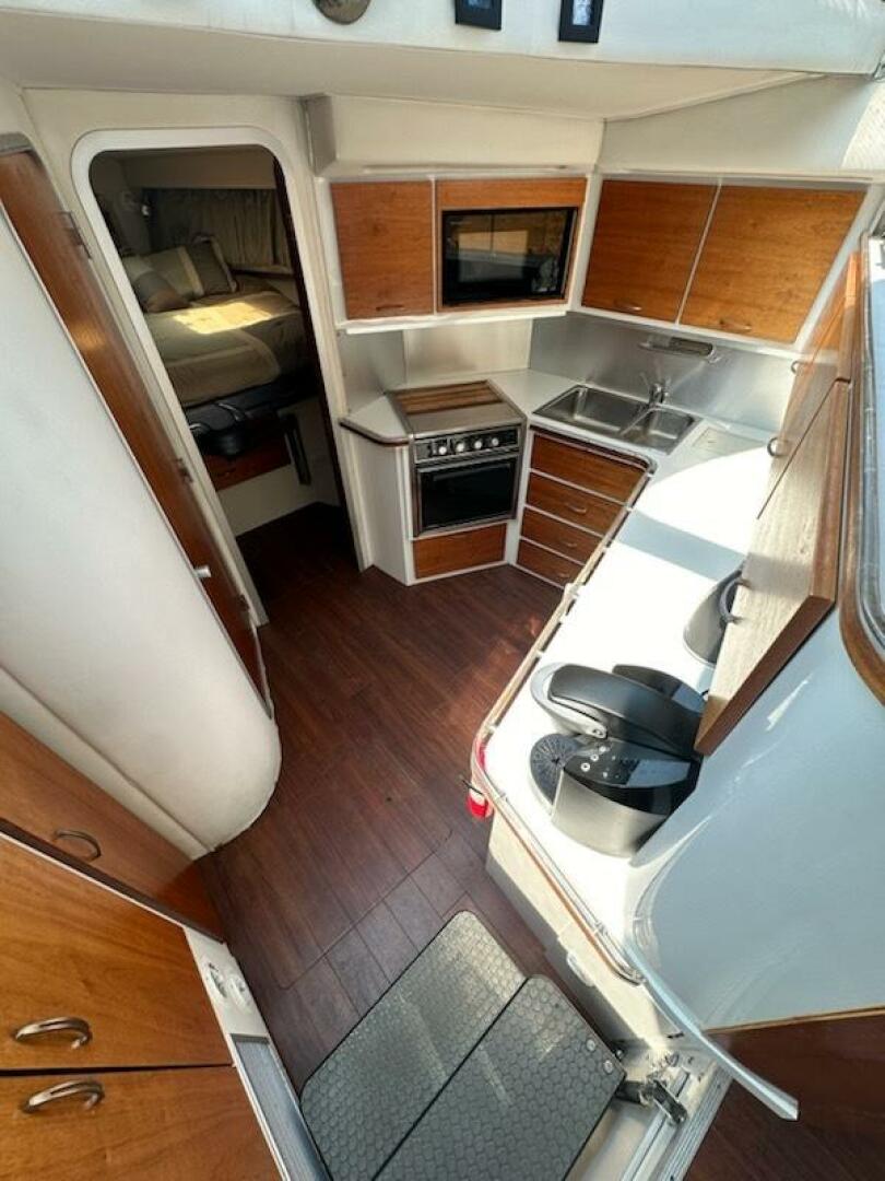 Slide: The Image of Wellcraft San Remo 1988 - 4478150