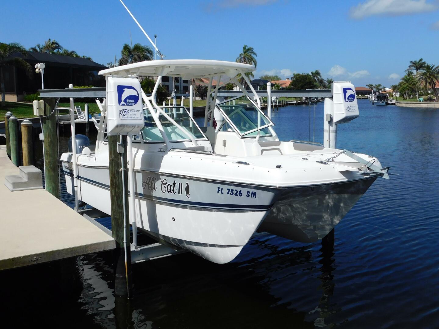 Slide: The Image of World Cat 23 2020 - 5238834