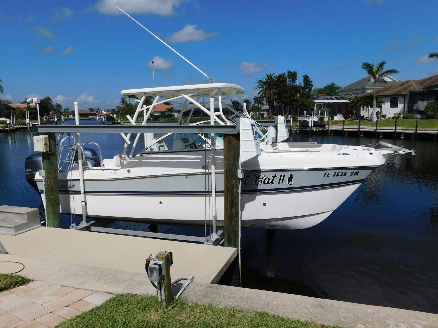 Slide: The Image of World Cat 23 2020 - 5238835