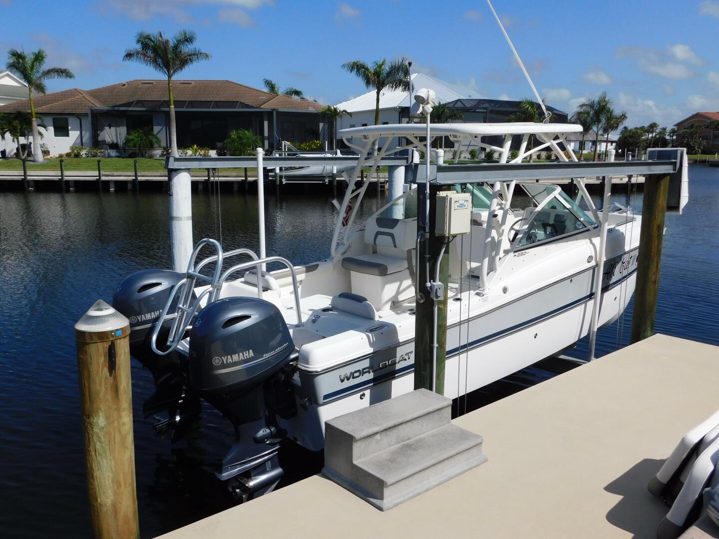 Slide: The Image of World Cat 23 2020 - 5238836