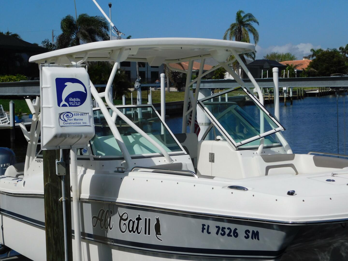 Slide: The Image of World Cat 23 2020 - 5238837