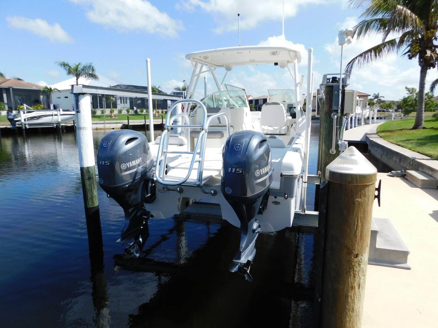 Slide: The Image of World Cat 23 2020 - 5238839