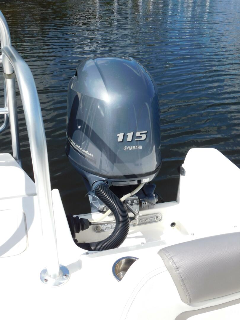 Slide: The Image of World Cat 23 2020 - 5238840