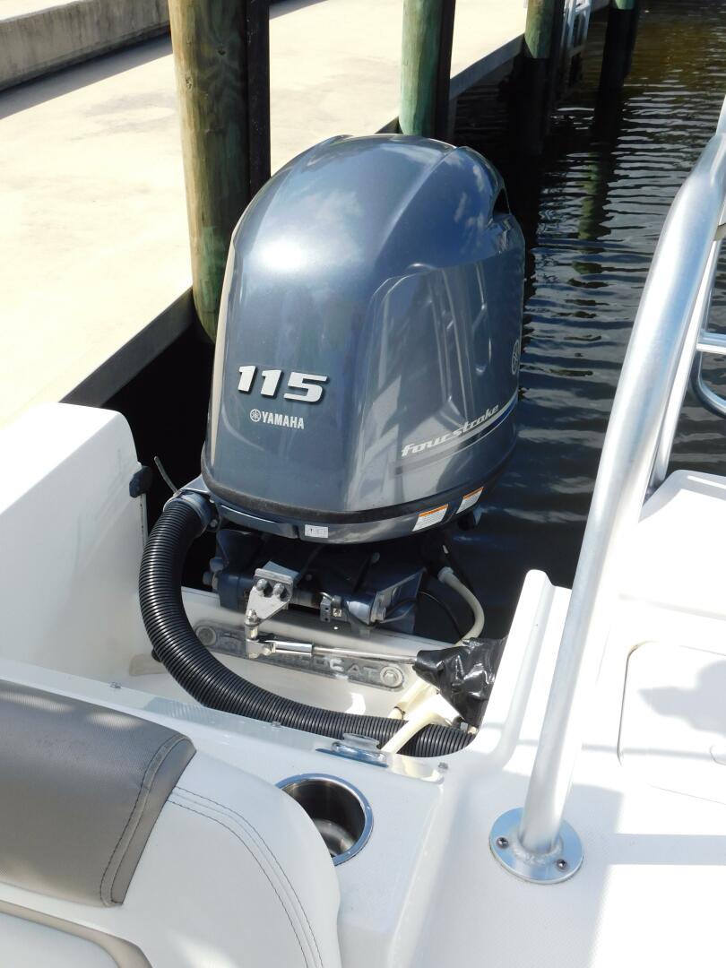 Slide: The Image of World Cat 23 2020 - 5238841