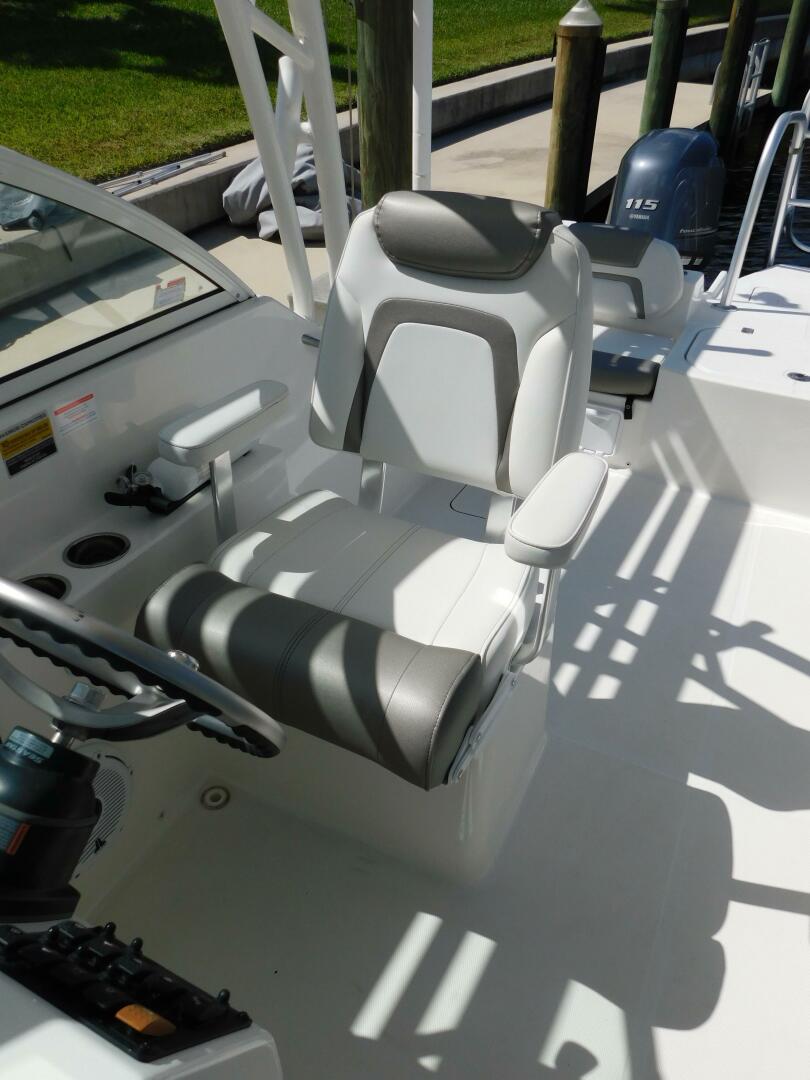 Slide: The Image of World Cat 23 2020 - 5238842