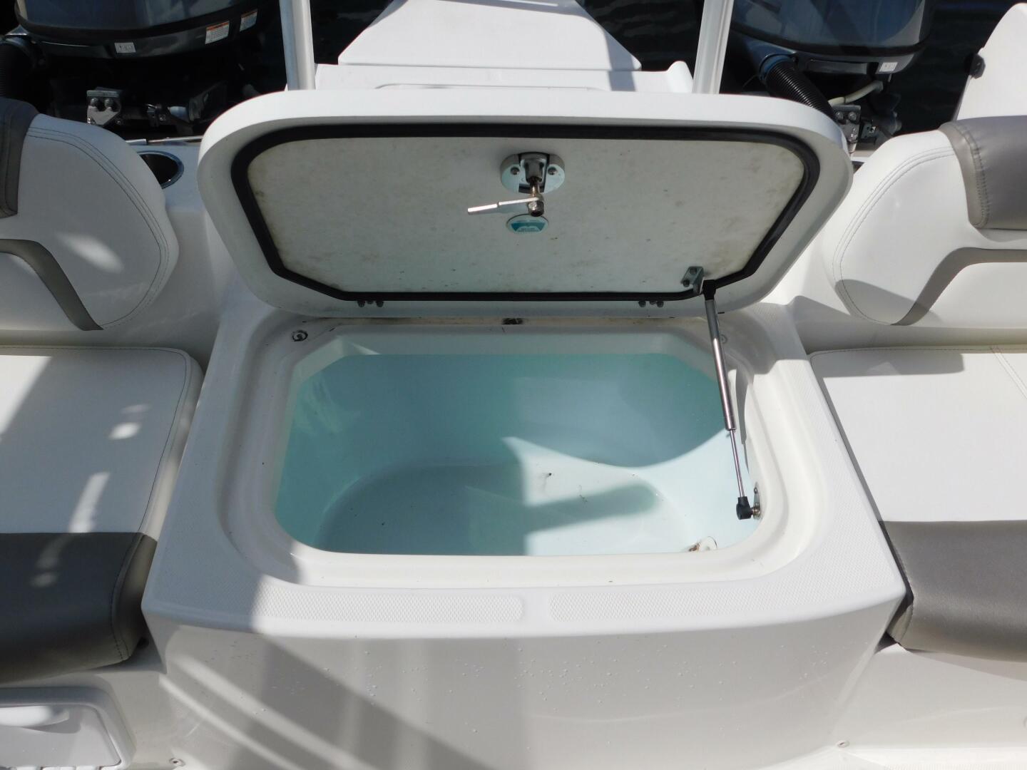 Slide: The Image of World Cat 23 2020 - 5238846