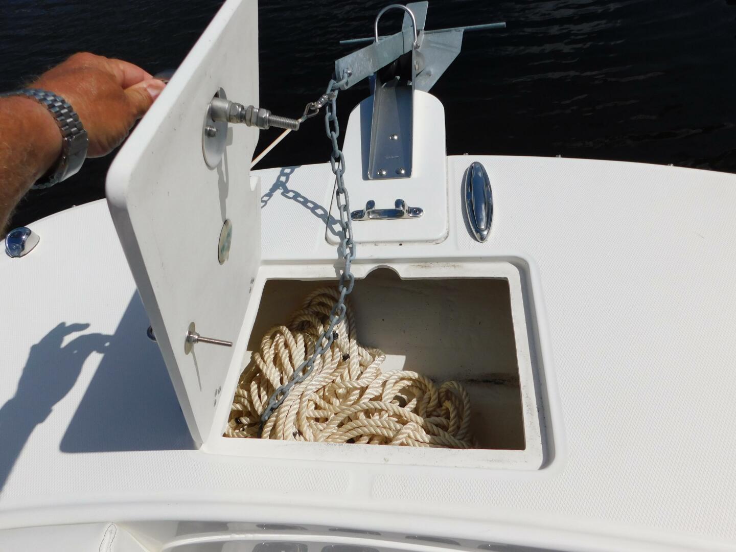 Slide: The Image of World Cat 23 2020 - 5238858