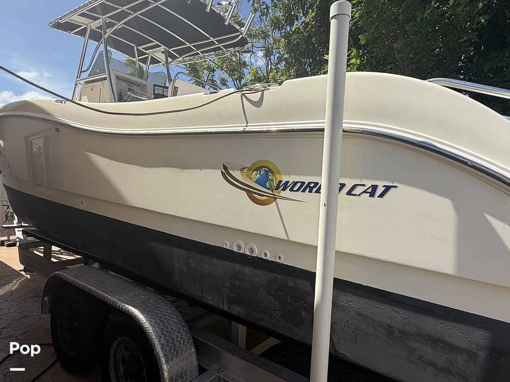 Slide: The Image of World Cat 246SF 1999 - 15679599