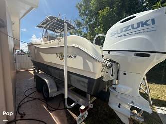 Slide: The Image of World Cat 246SF 1999 - 15679602