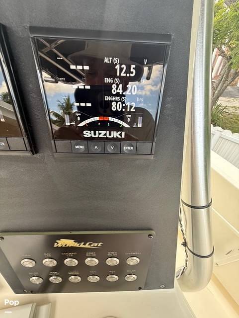 Slide: The Image of World Cat 246SF 1999 - 15679614